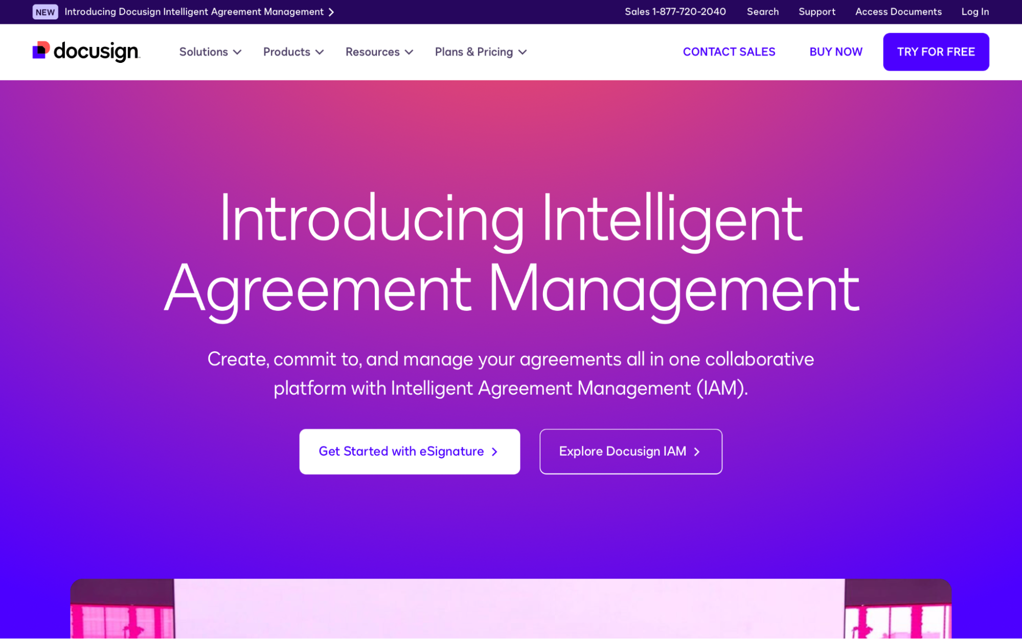 docusign consulting software