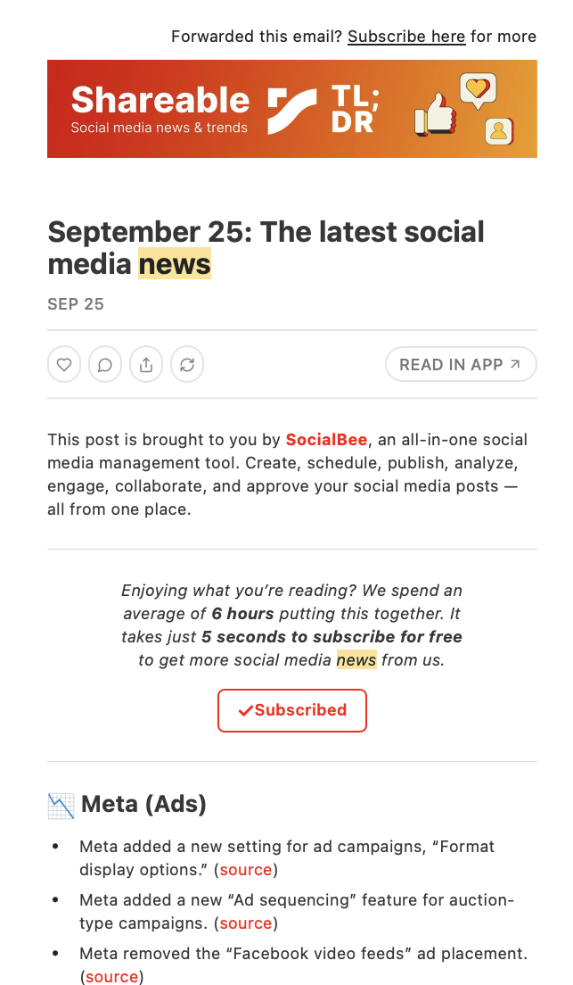 newsletter email example