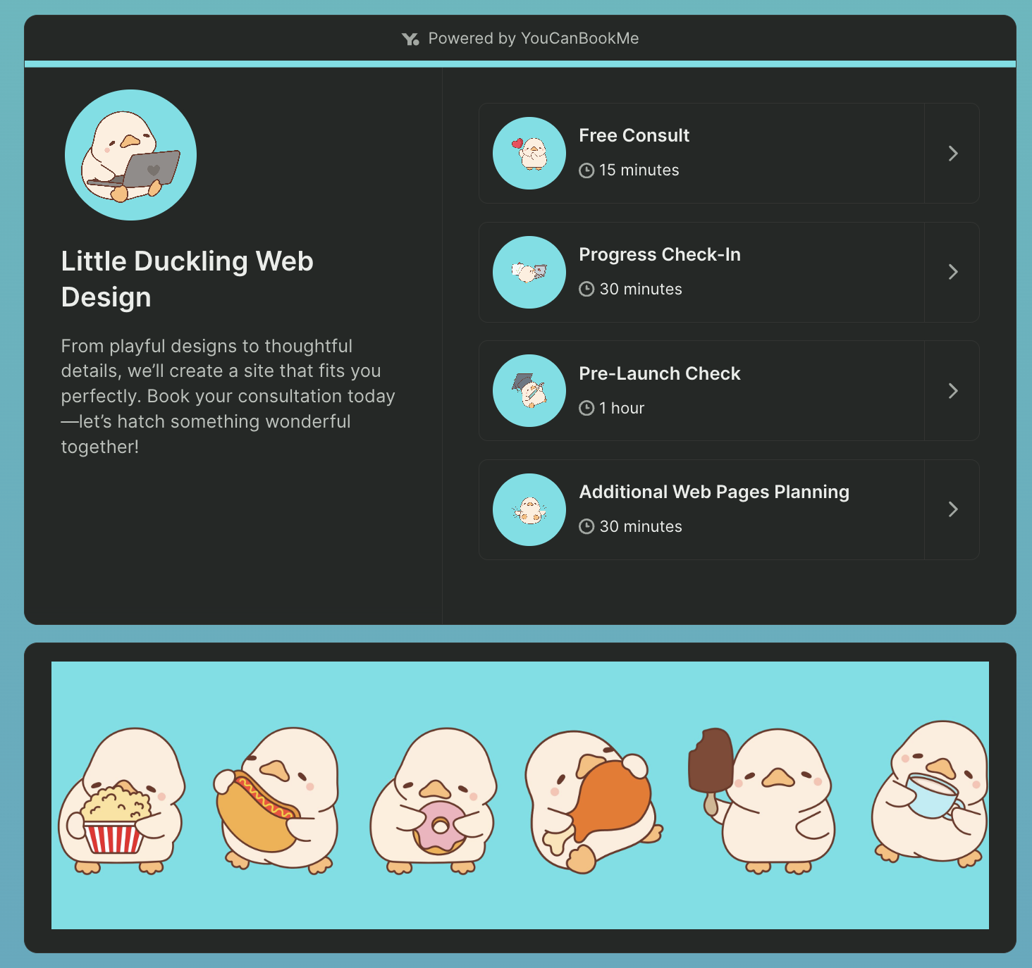 Web consultant booking page with different appointment types