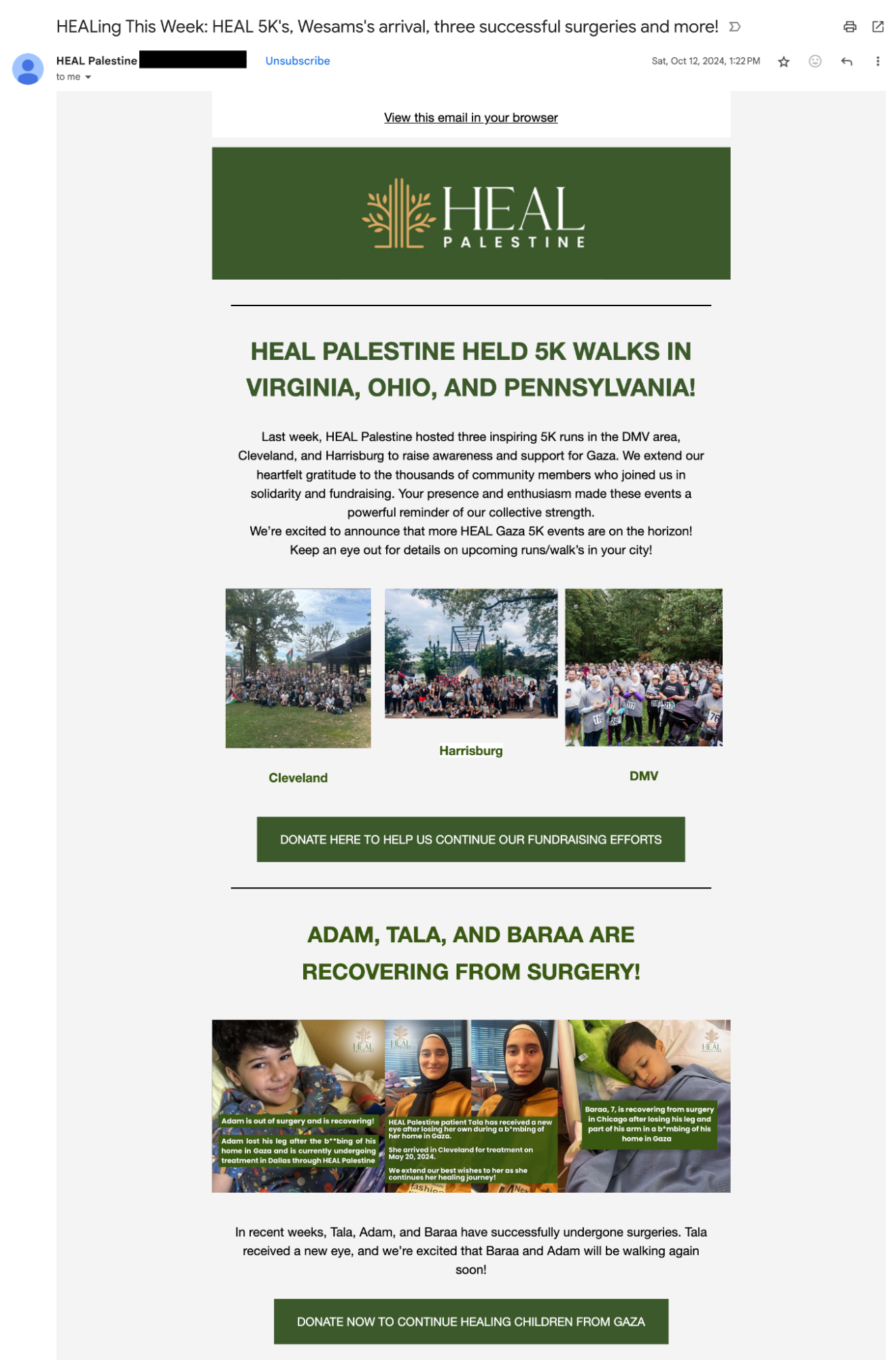 Newsletter nonprofit email marketing example