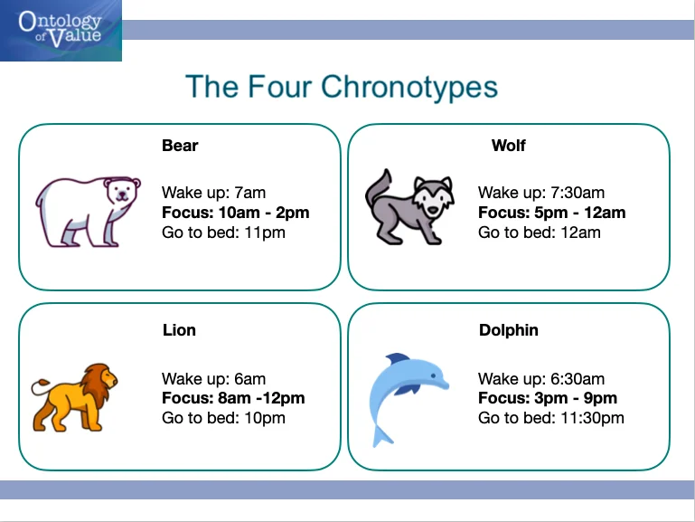focus chronotypes