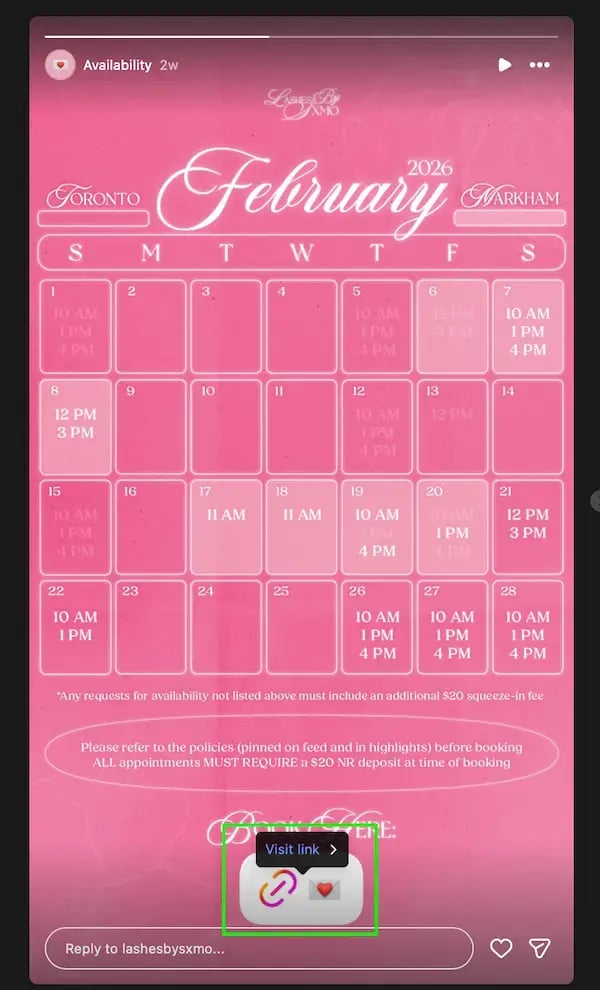 Lashes by SxMo shares her calendar booking link in her instagram stories