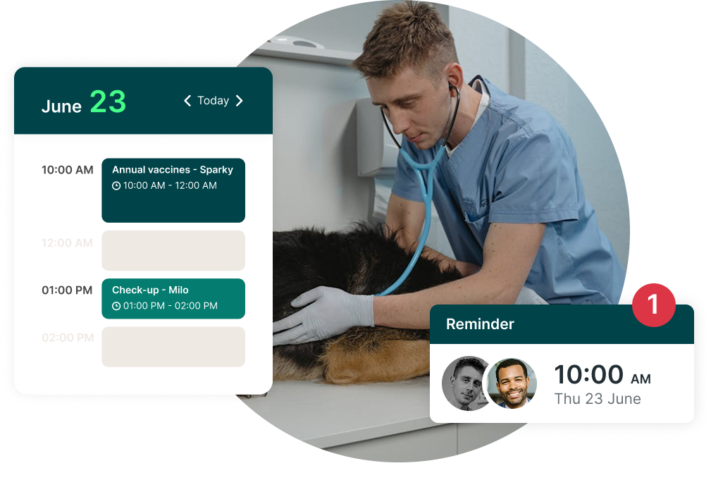 Automated reminders for vet patients