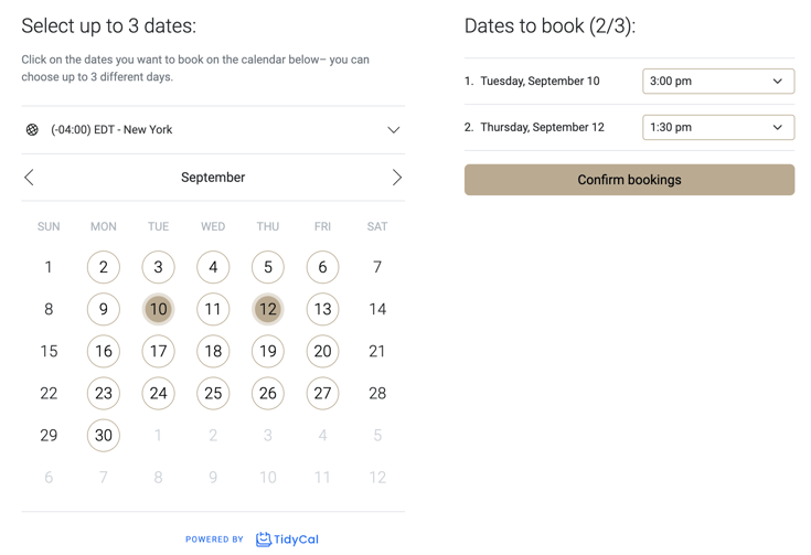 TidyCal product screenshot - multiple meetings