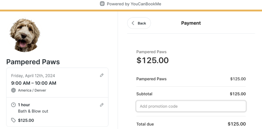 YouCanBookMe promo codes in checkout