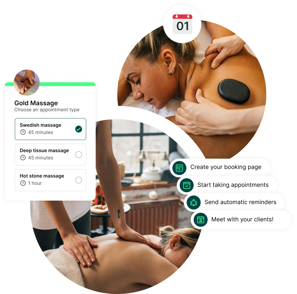 massage therapist software