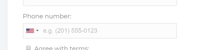 Auto detect phone number validation